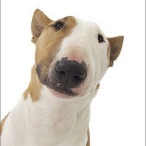 Meet your Posher, Nathan